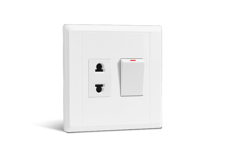 2 Pin Socket with Switch